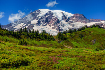 Mountain Rainier from the Skyline Trail, Paradise Valley, Mt Rainier National Park, Washington