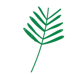 branch leaves nature organic ecology icon design