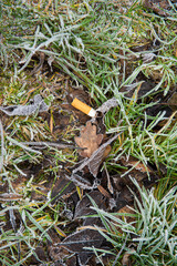 Cigarette bud lying in the grass at winter..