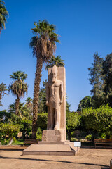 Detail of the sculpture between the palm trees of Pharaoh Ramses II at Memphis in Cairo, Egypt. Ancient city in which the god Ptah was worshiped