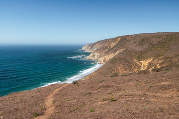 Fototapeta na wymiar A coastal seascape and plants in California