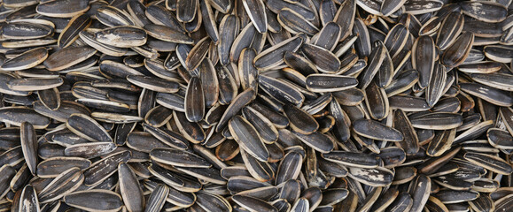 sunflower seeds background