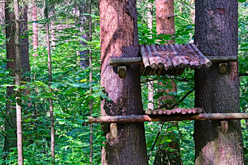 wooden bird feeder house on a big tree. color