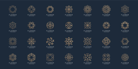 icon set Flower ornament logo and icon set. Abstract beauty flower logo design collection vector.