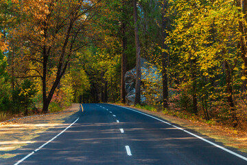 A scenic road through fall colors in Yosemite