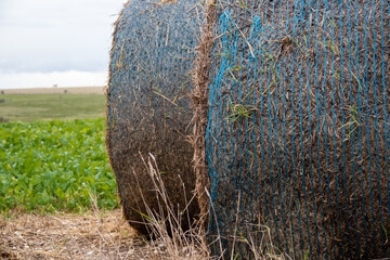 round hay bales with blue twine © Martin