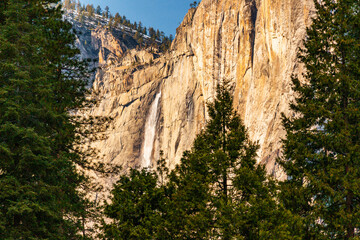 Fototapeta na wymiar Scenic shot of Yosemite Falls waterfall in Yosemite National Park