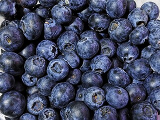 blueberries in a bowl