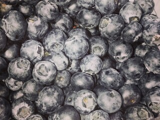 blueberries close up background
