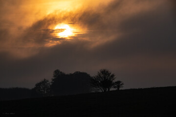 Naklejka na ściany i meble moody sun peeks through the clouds with trees silhouetted beneath