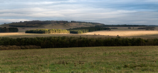 Fototapeta premium sidbury hill wiltshire landscape with sunlit areas 