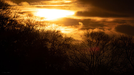 golden evening sun breaking through dark clouds and silhoutted trees beneath 