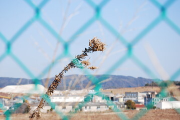 フェンス
