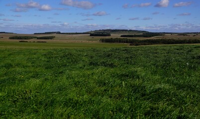 Obraz premium views across across rolling fields and parkland with copse woodland 