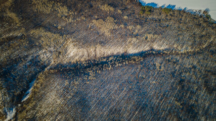 winter forest landscape made on a quadrocopter.