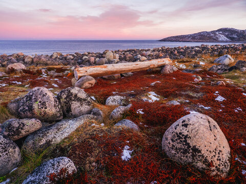 Wonderful mountain landscape with tundra and a bench on the shore of the Barents sea. Teriberka