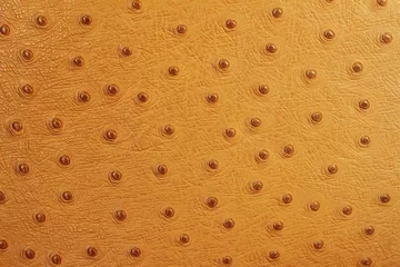 Poster Texture of genuine leather Stamped under the skin of an ostrich close-up, fashion, exotic background © svetlanais