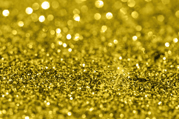 Drops of dew on dandelion seeds.