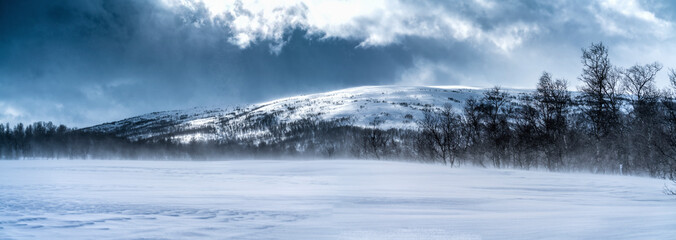Panoramic view on mountain snow drift in Swedish Lapland. Sunny day, high mountain range with wild arctic birch forest at the lower level. High speed clouds and drifting snow. Scandinavian mountains. © Alexandre Patchine