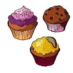 set of cupcakes