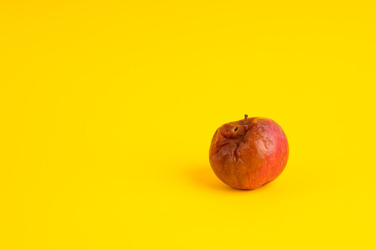 Rotten apple with a worm on a uniform yellow background