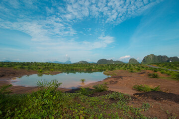 Expanse of oil palm plantations with beautiful views along with cloudy blue skies typical of tropical plantations.