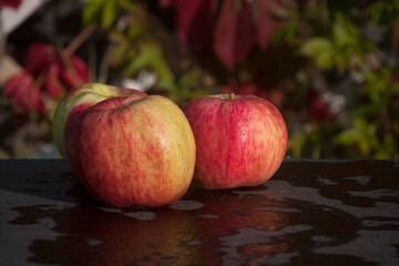 red apples on the table in autumn garden on blurred leaves background