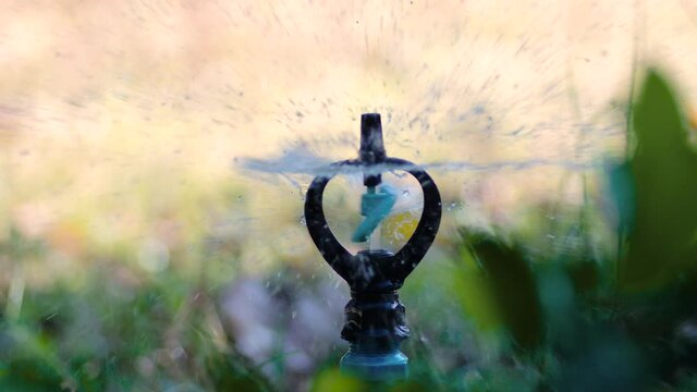 Close up springer rotary for giving water to plant