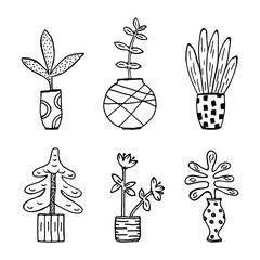 Decorative potted house plants sketch cartoon doodle icon set. Hand drawn with ink and brush flowers isolated on white background. Vector illustration