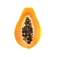 Watercolor papaya. Watercolor illustration of organic food. Fresh exotic fruit.