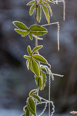 Winteranfang in Norddeutschland