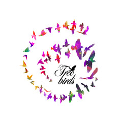 Multi-colored Birds fly in a circle. A flock of colorful birds. Mixed media. Abstraction from birds. Vector illustration