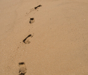 Fototapeta na wymiar A single set of footprints walking along the beach