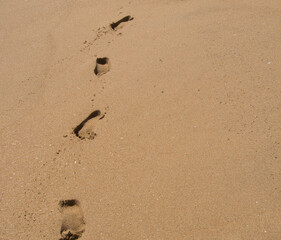 A single set of footprints walking along the beach