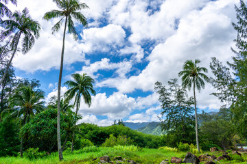 Fototapeta na wymiar Ahupuaʻa ʻO Kahana State Park Paradise in Oahu, Hawaii