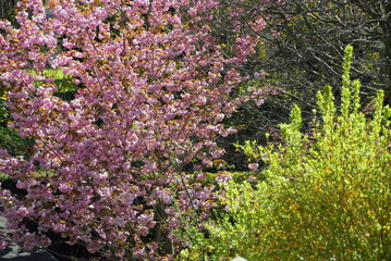 Ville de Saint-Valéry-en-Caux, département de Seine-Maritime, France