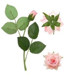 Isolated artificial single pink and white rose flowers on white background. Bud and leaf of pink rose flower isolated on white. Tea rose. Aroma rose flowers. Fabric flowers