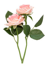 Isolated artificial single pink and white rose flowers on white background. Bud and leaf of pink rose flower isolated on white. Tea rose. Aroma rose flowers. Fabric flowers