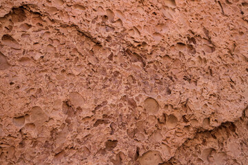 Geological. Natural texture and pattern. Closeup view of red canyon rock face with prehistoric fossils. 