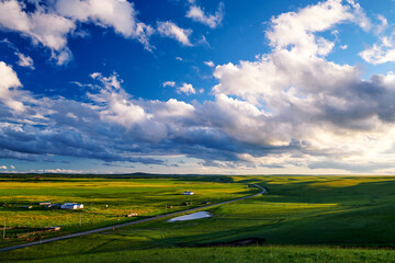 Fototapeta premium The beautiful summer grassland scenic of Hulunbuir of China.