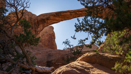 Obraz premium Arches National Park