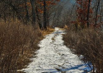 path in the snow