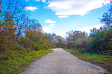 Road in the country with beautiful Fall colors overgrown and old