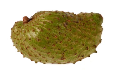 Soursop (Annona muricata) isolated on white background