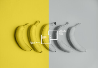 Creative banner with bananas colored in two colors of the year 2021 - Illuminating and Ultimate Gray - 398375782