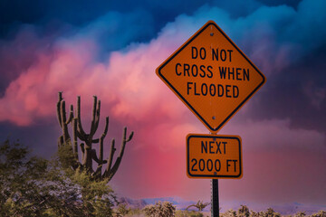 Huge Saguaro before a storm with Flood Warning Sign