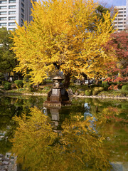 東京都　日比谷公園の雲形池と黄葉