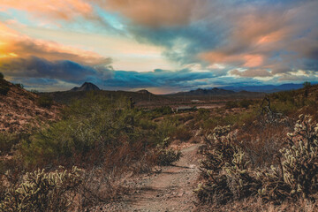 Desert Homes In An Arizona Sunset