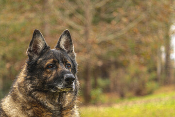Always on watch