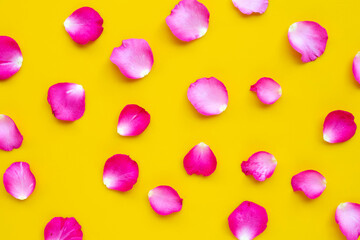 Rose petals on yellow background.